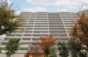 23帖LDK、この開放感は一度見てほしい。in北区