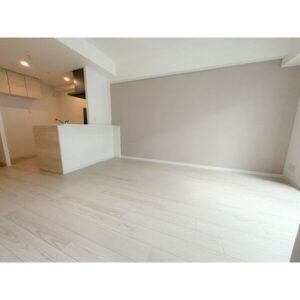 新築！WIC付きで叶えるゆとりの1LDK暮らしin天神橋筋六丁目