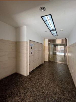 🐾 難波徒歩圏！小型犬・猫OKの広々1LDK✨in桜川 画像10