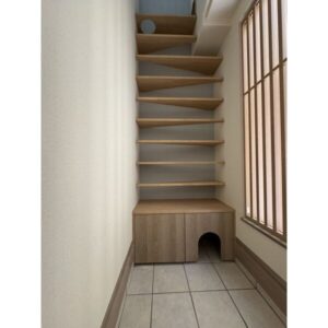 新築×猫ハウス!in南市岡 画像6 新築×猫ハウス!in南市岡 画像6