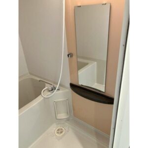 小型犬・猫2匹まで飼育可能！北浜徒歩7分×南向きin北浜 画像8