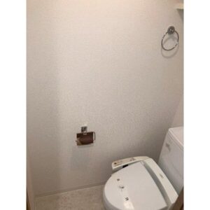 小型犬・猫2匹まで飼育可能！北浜徒歩7分×南向きin北浜 画像9