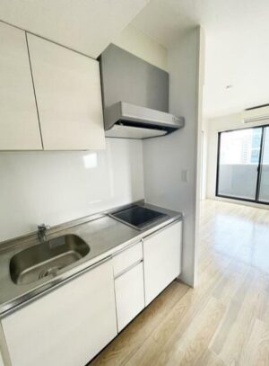 ゆとりあるワンルームin谷町四丁目 画像5