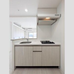 都会を味方にする1LDKマンションin九条 画像8