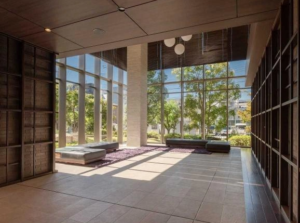 阿波座2分タワーで犬猫暮らし🐕🐈 画像3