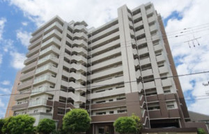 駅4分で犬猫と暮らす3LDK🐕🐈 駅4分で犬猫と暮らす3LDK🐕🐈