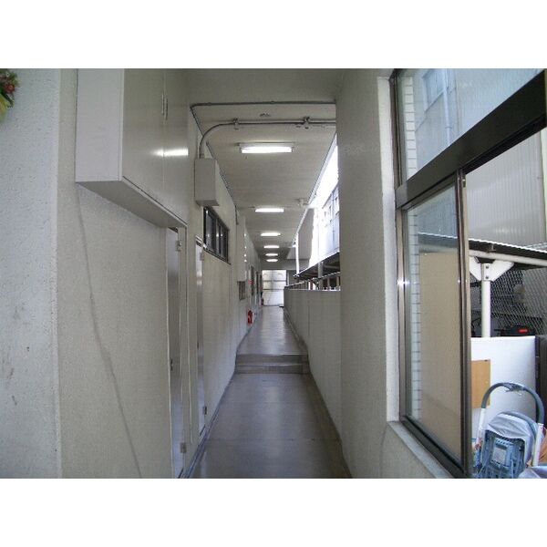 大型犬との暮らしも叶うゆったり1LDK in園田 画像4 大型犬との暮らしも叶うゆったり1LDK in園田 画像4