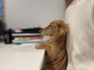 【非公開物件】海老江駅徒歩4分。ペットと暮らせる3LDK