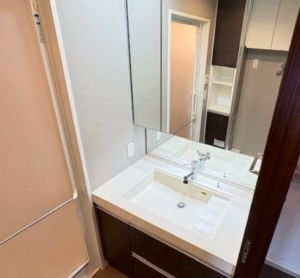 余白を楽しむ大人のゆとり2LDKin中之島 画像6