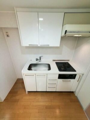 靭公園を庭にする贅沢な暮らしin阿波座 画像4