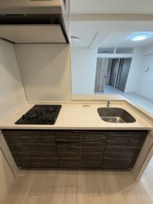 【新築】何もかも新しいin難波 画像4 【新築】何もかも新しいin難波 画像4