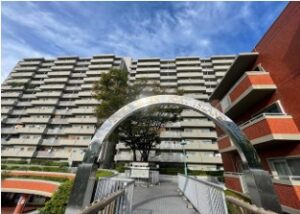 ～海風を感じるアイランドライフ🐶🐱～