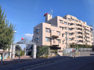 100㎡メゾネットで犬猫と暮らす🐕🐈