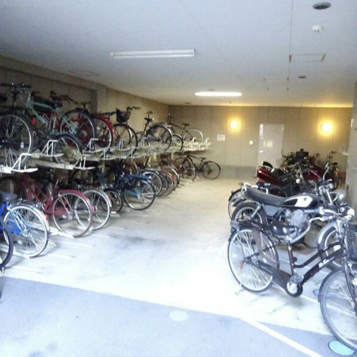 ワンちゃん喜ぶドックラン付き in 今福鶴見 画像13