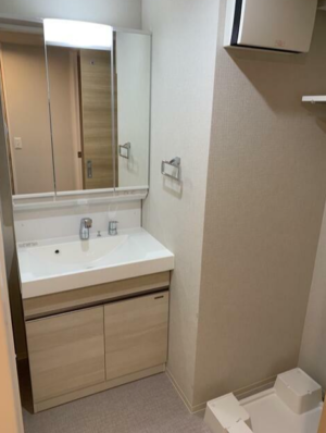 駅近×築浅｜ペットと暮らせるゆとりの1LDKin天満橋 画像4