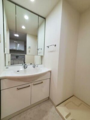 靭公園を庭にする贅沢な暮らしin阿波座 画像5