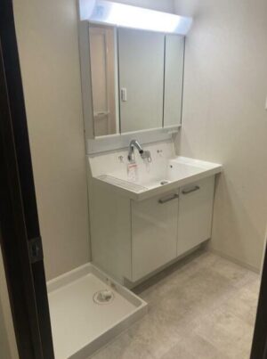 【新築】多頭飼いＯＫ！大型犬も可能！in北田辺 画像9