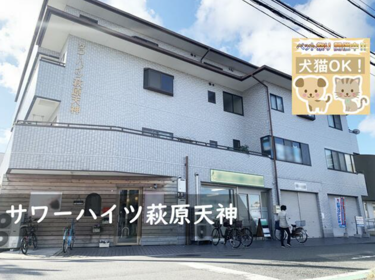 猫と和室でお昼寝できる部屋 in 堺市東区 画像3