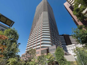 阿波座2分タワーで犬猫暮らし🐕🐈