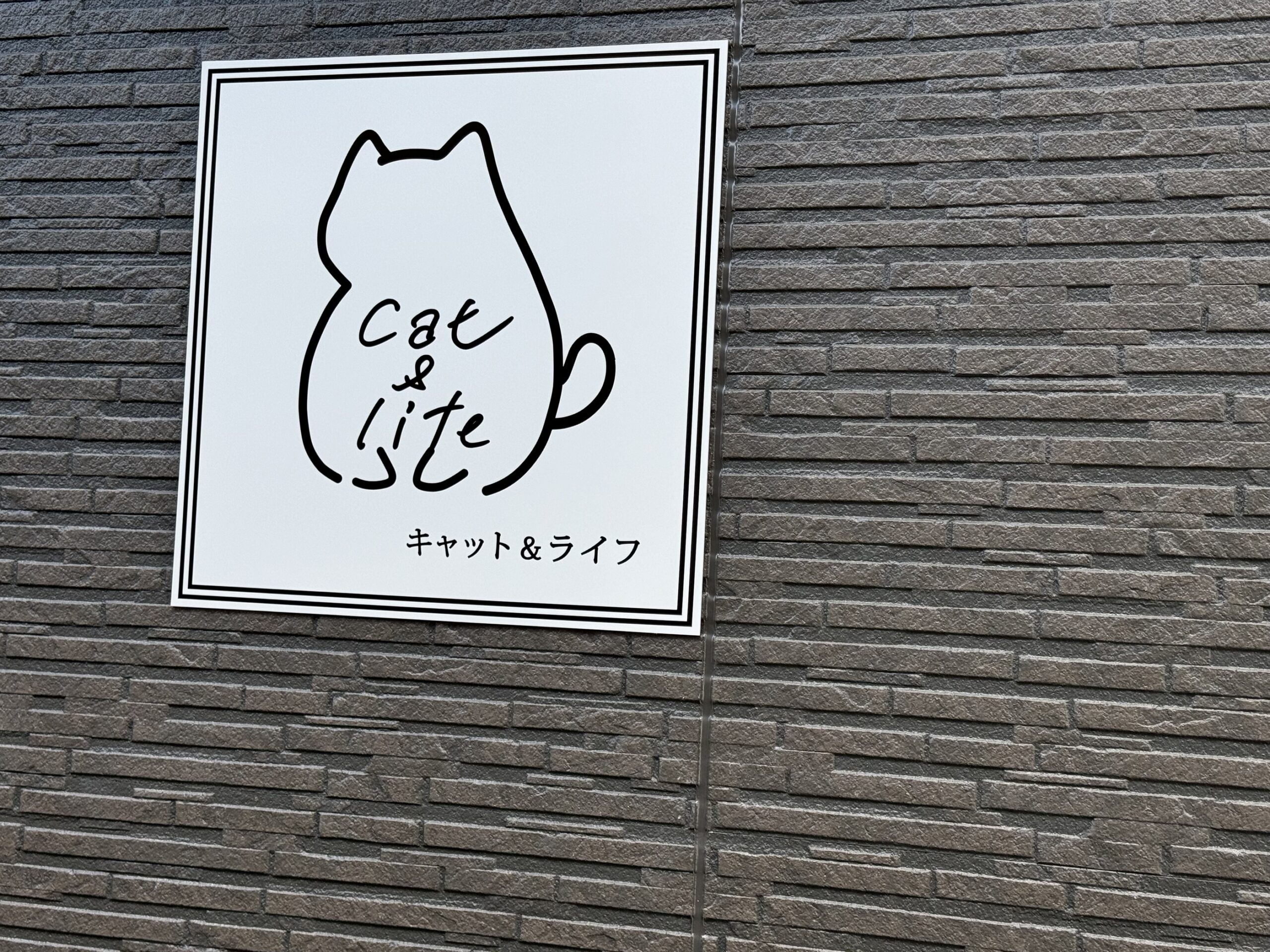 \猫と暮らす部屋/in南巽 1K 画像8 \猫と暮らす部屋/in南巽 1K 画像8