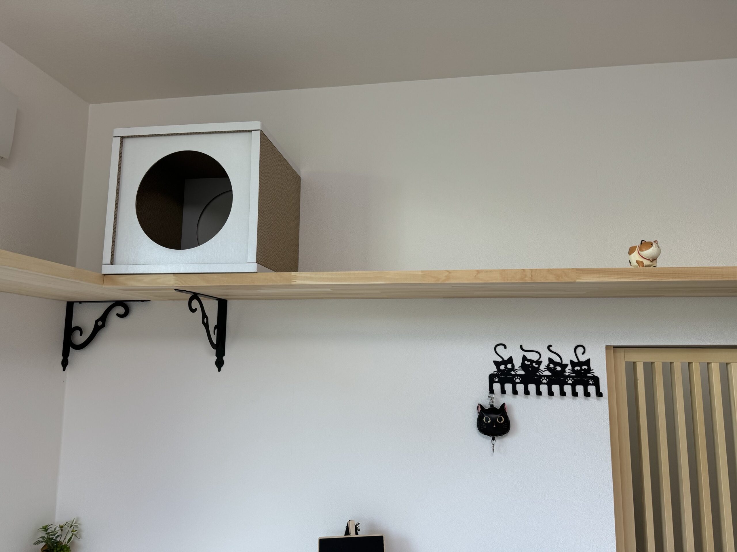 \猫と暮らす部屋/in南巽 1K 画像4 \猫と暮らす部屋/in南巽 1K 画像4