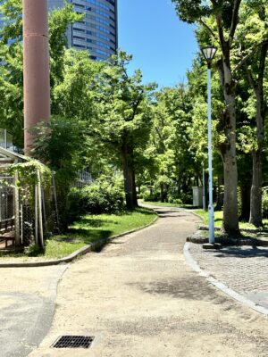 川と緑のコントラスト、そして絶景in桜ノ宮 画像12