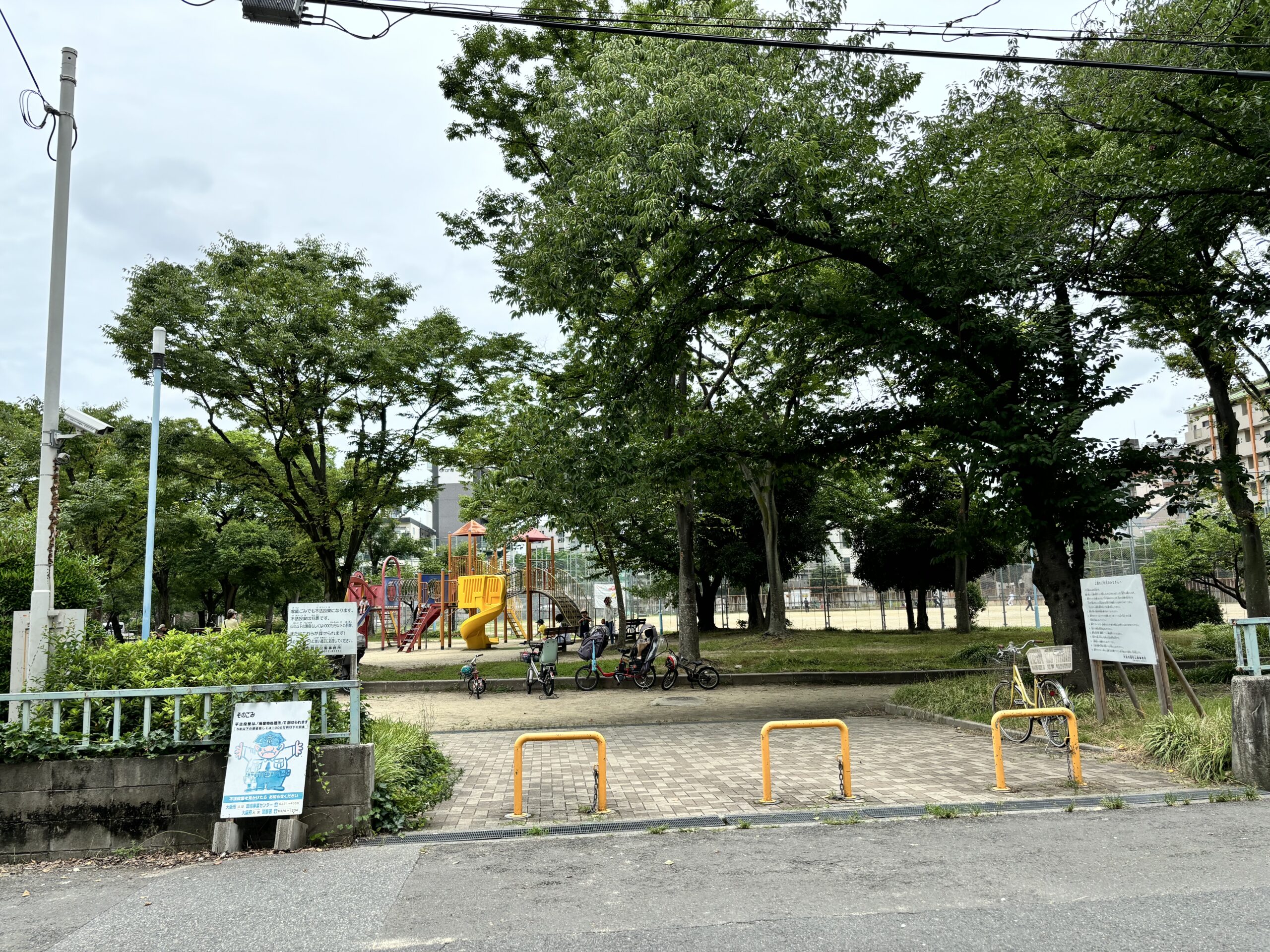 誘いの景色in中津 画像17