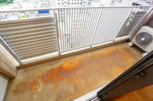 猫と一緒に！１LDKin東淀川 画像12