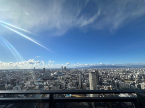 40階角部屋で犬猫と暮らす家🐕🐈 画像9