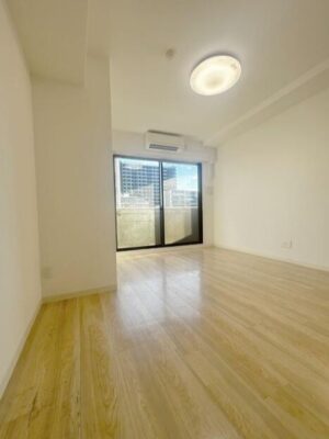 ゆとりあるワンルームin谷町四丁目 画像3