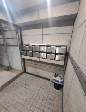 🐾 犬猫2匹OK！住吉エリアで叶える広々1LDKライフin住之江区 画像5