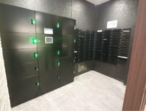 愛犬と始める軽やか1K暮らし🐶in桜川 画像5