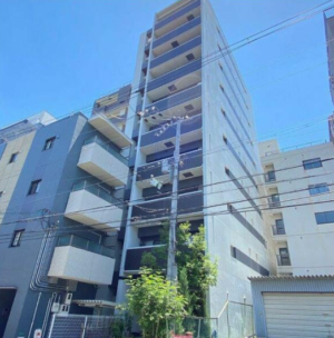 猫2匹OK!設備充実の駅近マンションin京橋 猫2匹OK!設備充実の駅近マンションin京橋