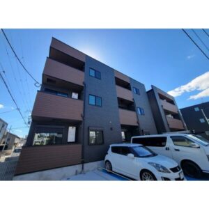 3匹一緒に、新築のお部屋へ。