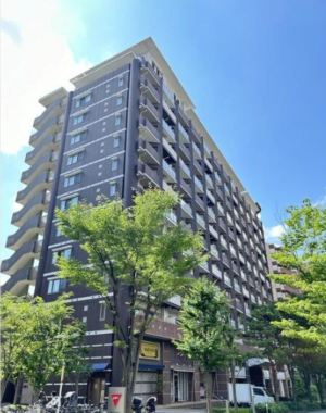 上本町5分、犬猫2匹OK。ちょうどいい都会暮らし🐕🐈