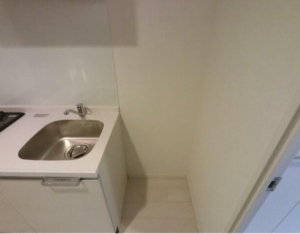 愛犬と始める軽やか1K暮らし🐶in桜川 画像14