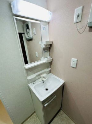ペットと畳にゴロン。日本らしさを残した3DK戸建てinあびこ 画像6