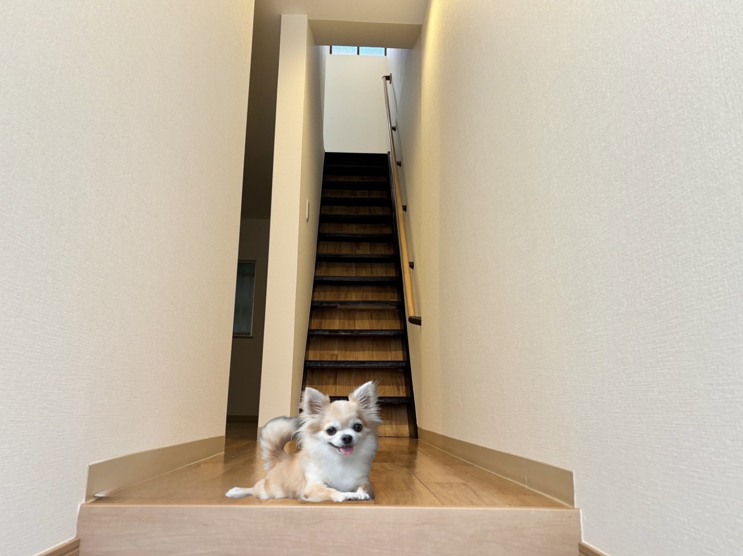 喧騒を忘れる空間in中津 画像3