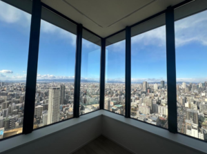 40階角部屋で犬猫と暮らす家🐕🐈 画像7