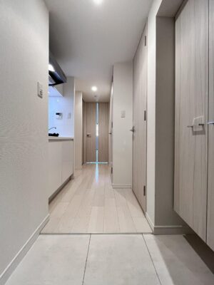 参考(他号室)(玄関) 参考(他号室)(玄関)