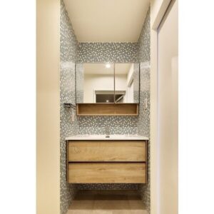 ゆとりの1LDKでペットと暮らすin新町 画像4 ゆとりの1LDKでペットと暮らすin新町 画像4